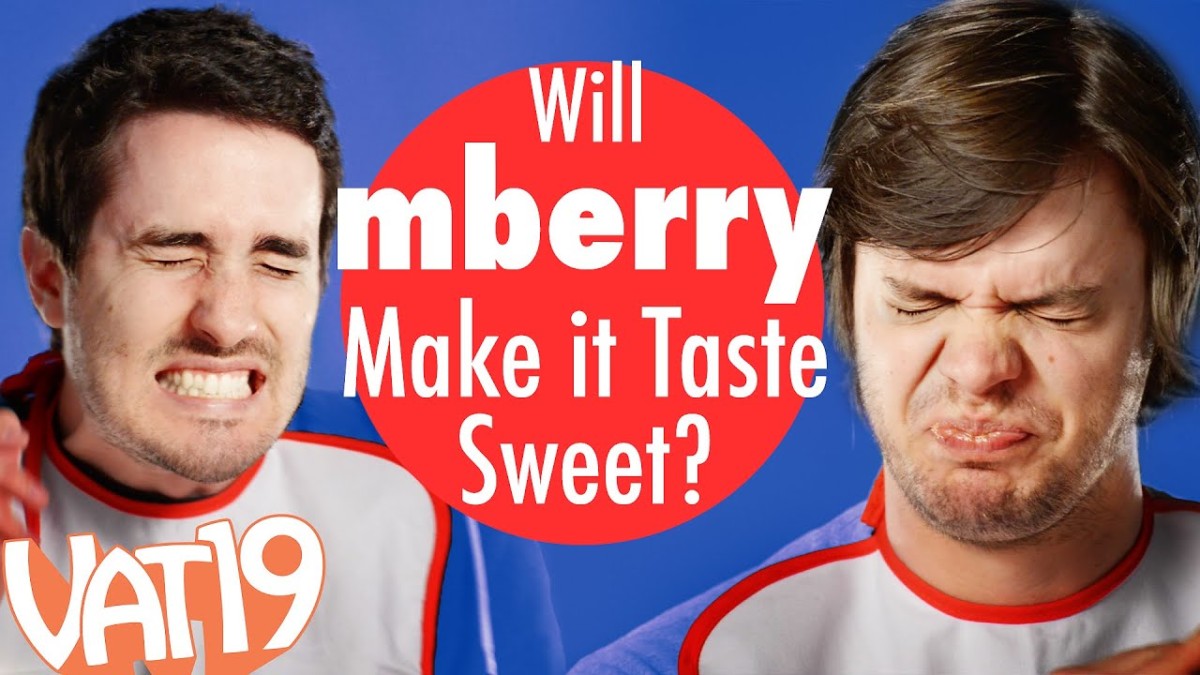 fruta milagrosa synsepallum dulcificum