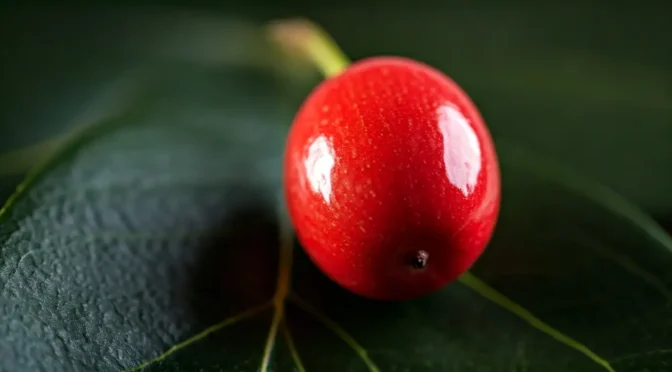 demostraciones fruta milagrosa
