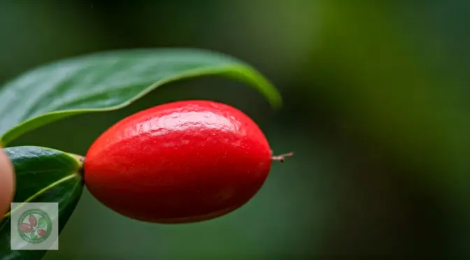Reducir azucar naturalmente nutricion funcional